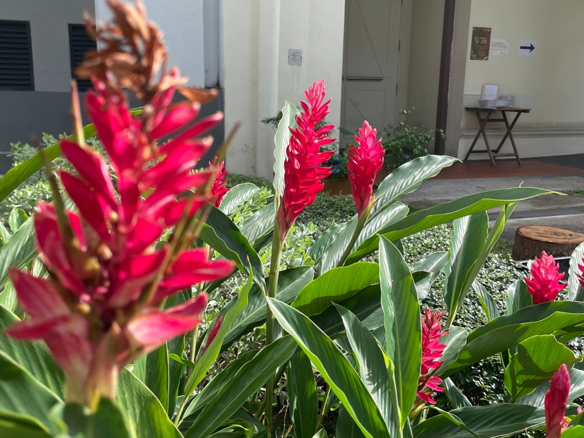 thoughts from the&nbsp;week