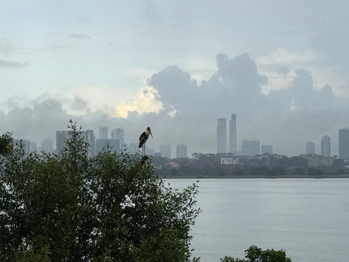 Where a person’s heart&nbsp;is