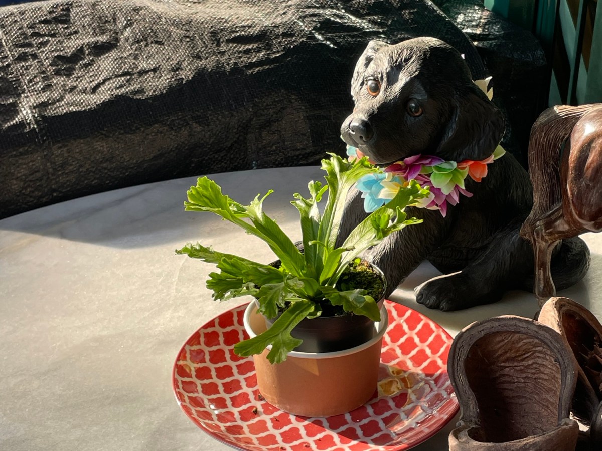 thoughts from the last 8&nbsp;weeks